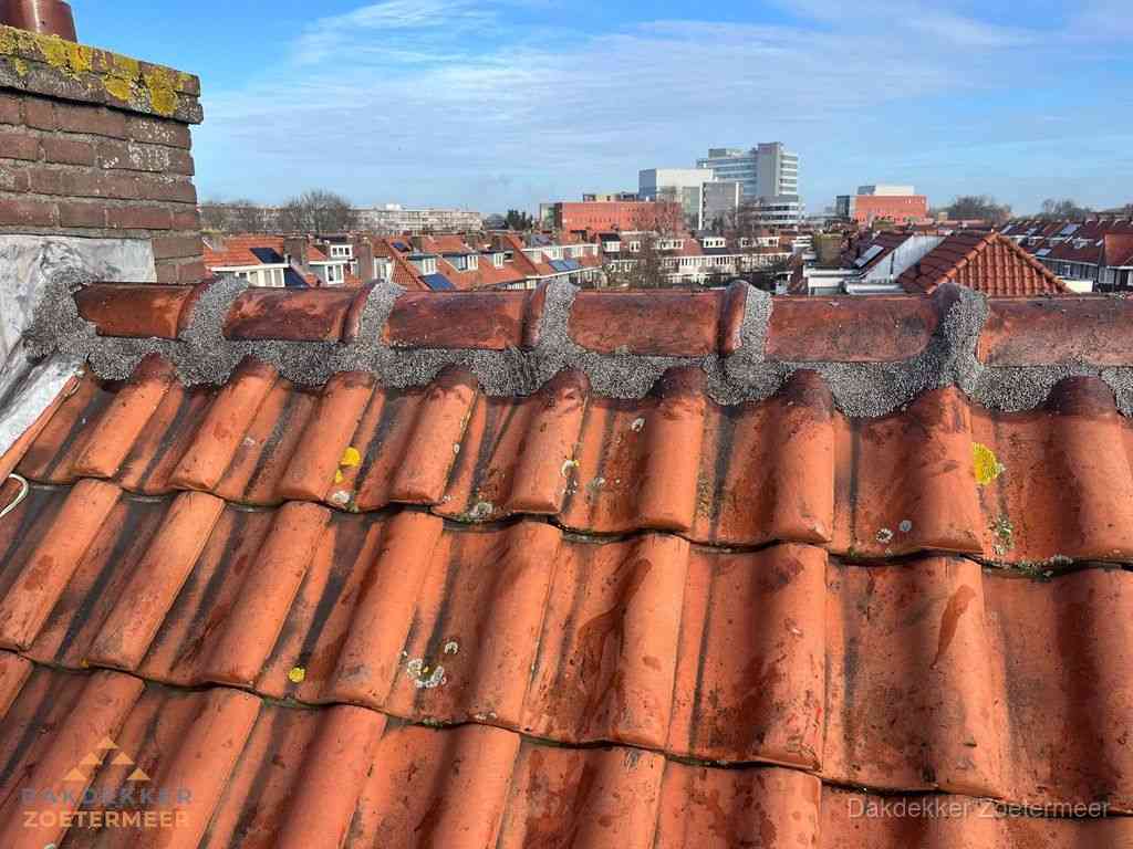 Nieuw bitumen plat dak met uitzicht over woonwijk in Zoetermeer