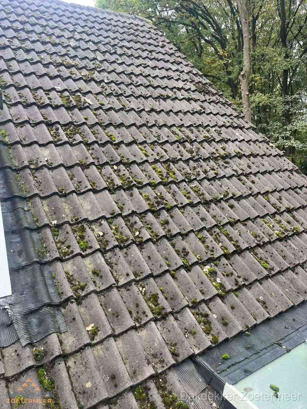 Verweerd pannendak met mosgroei dat renovatie nodig heeft in Zoetermeer