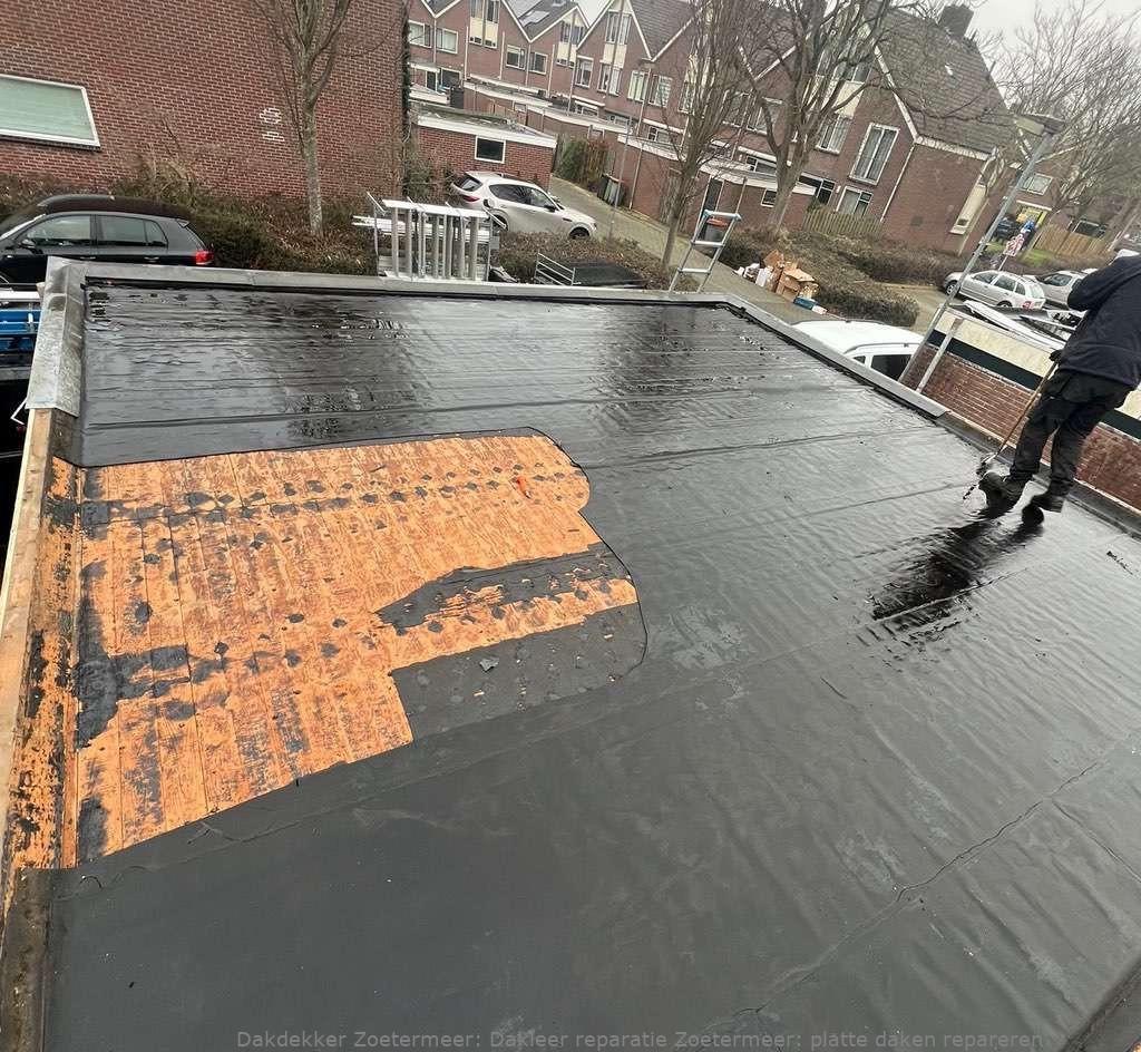Dakleer Reparatie Zoetermeer