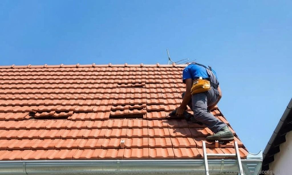 Dakreparatie En Verzekering Zoetermeer