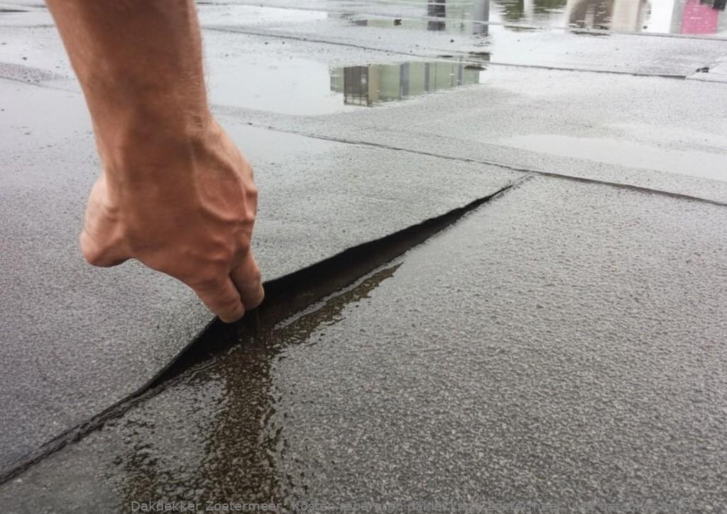 Kosten Repareren Daklekkage Zoetermeer 1