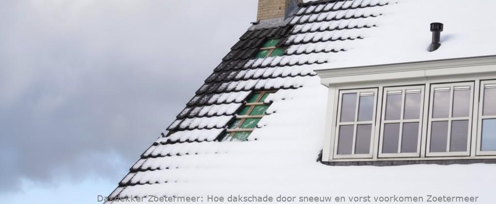 Schade Door Sneeuw En Vorst Zoetermeer